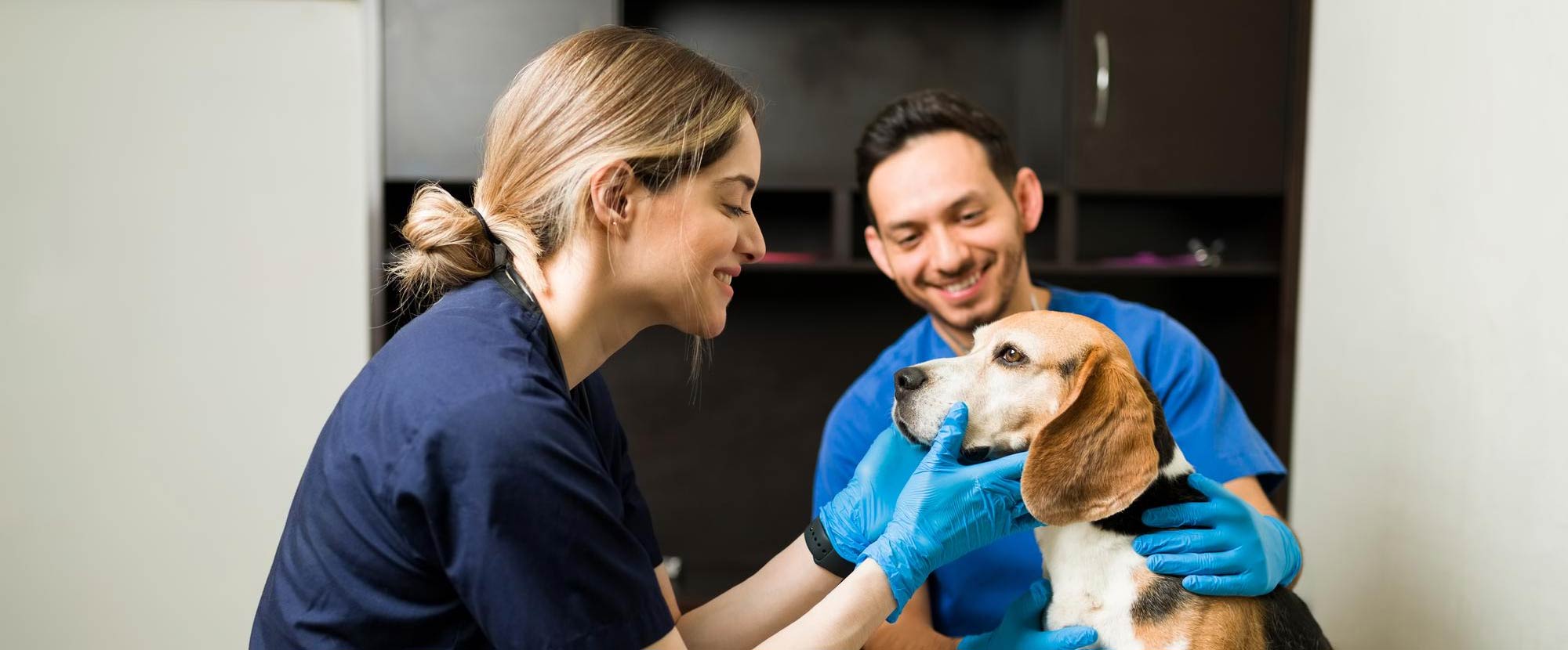 Técnico en Auxiliar en Veterinaria